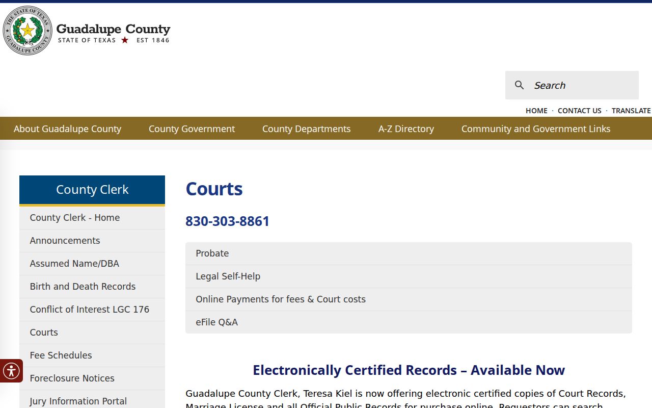 Guadalupe County court docket courts page